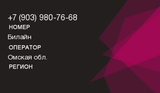 9039807668